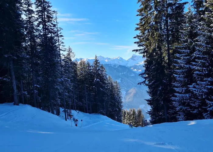 Apartment Ski-baki Seka